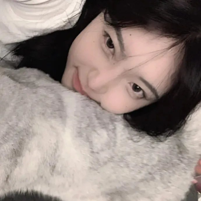 猫头鹰之森