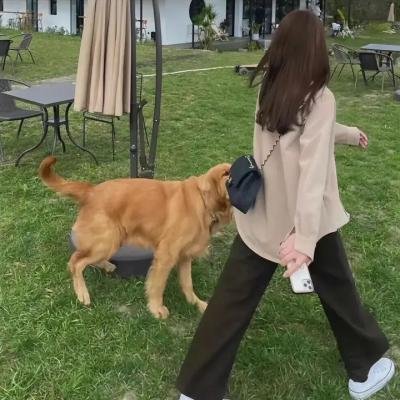 我孙子的疯狂割礼